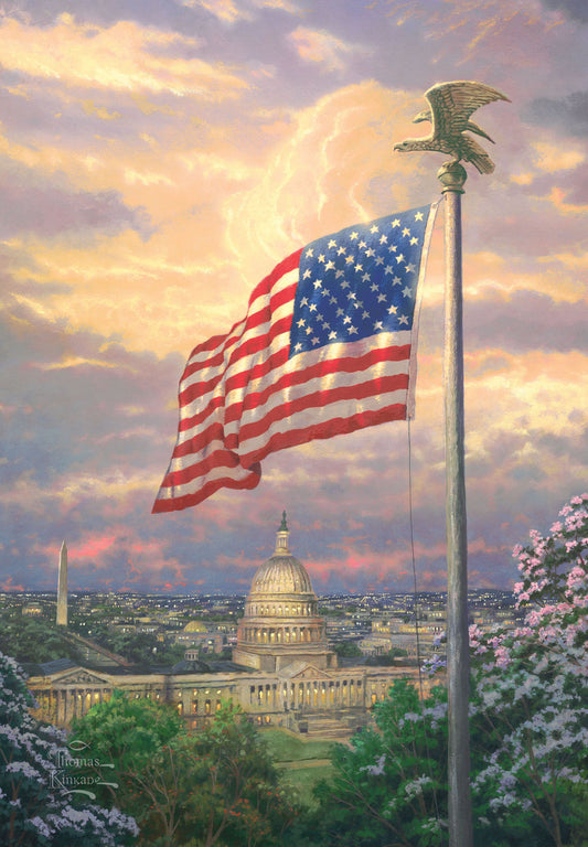 America's Pride House Flag ( 1 item per case )